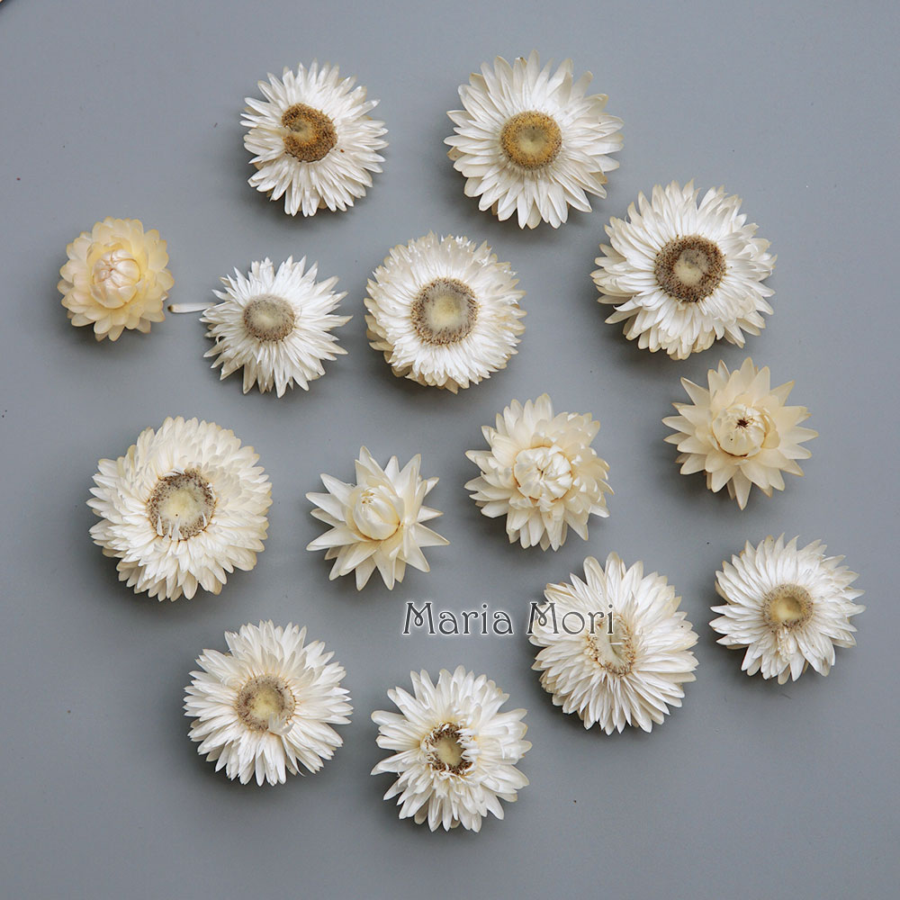 Holiday Candle Set - Natürlicher getrockneter bunter Chrysanthemenkranz, handgefertigter Haarschmuck,