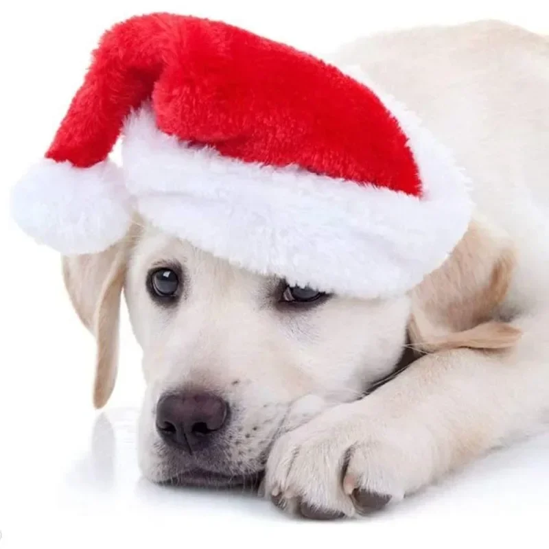 Weihnachts-Haustier-Weihnachts – Santa Hat Plush Bewertung und Preis
