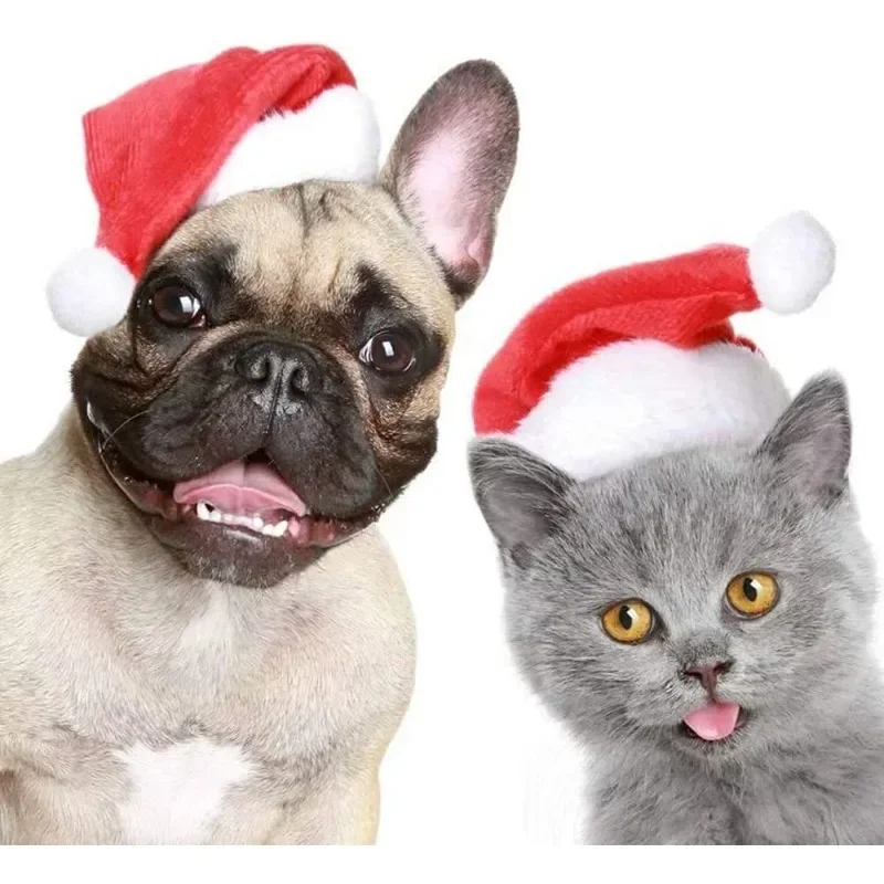 Weihnachts-Haustier-Weihnachts – Santa Hat Plush Bewertung und Preis